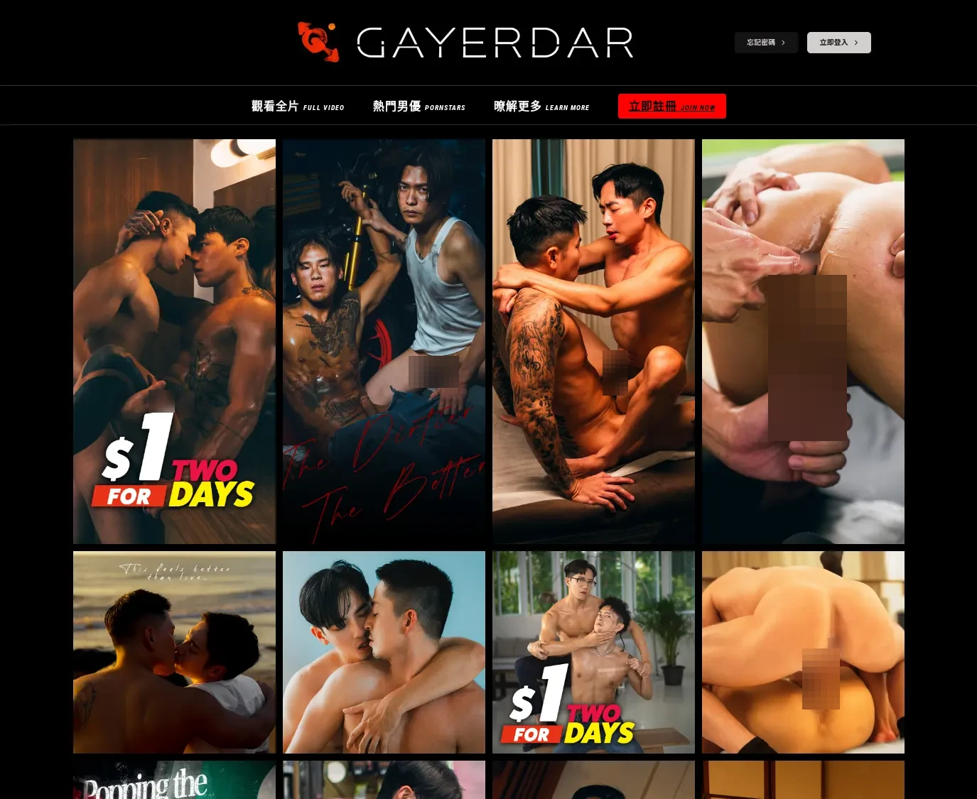 Screenshot from gayerdar.com for review purposes Review screenshot gayerdar.com