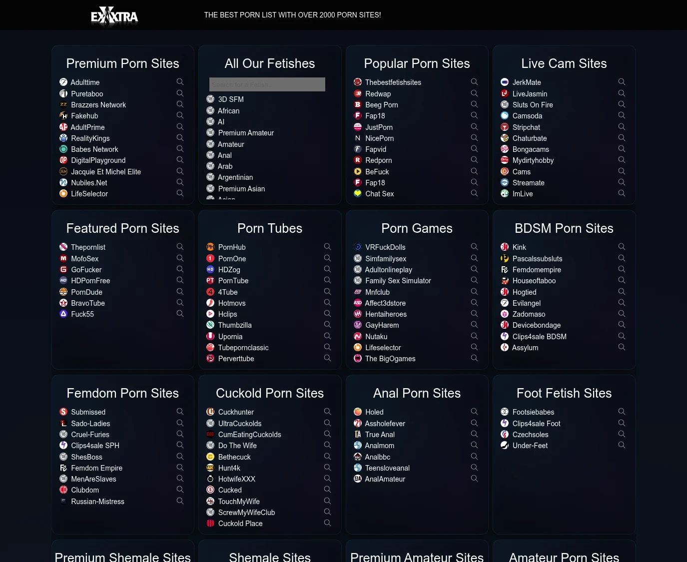 Screenshot from exxxtra.net for review purposes Review screenshot exxxtra.net