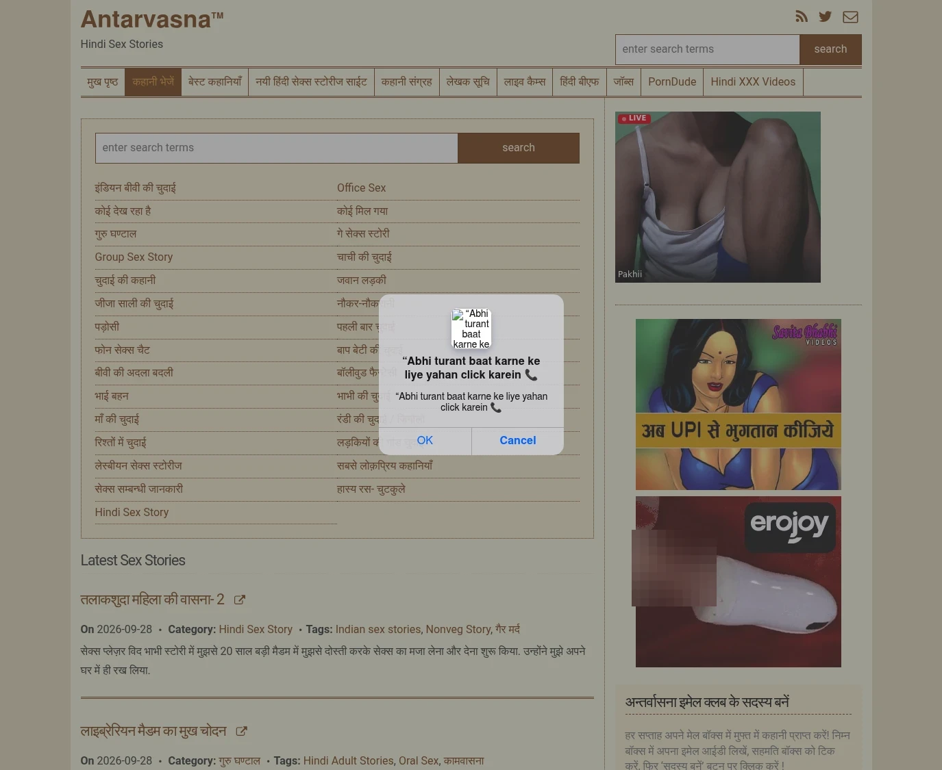 Screenshot from antarvasnasexstories.com for review purposes Review screenshot antarvasnasexstories.com