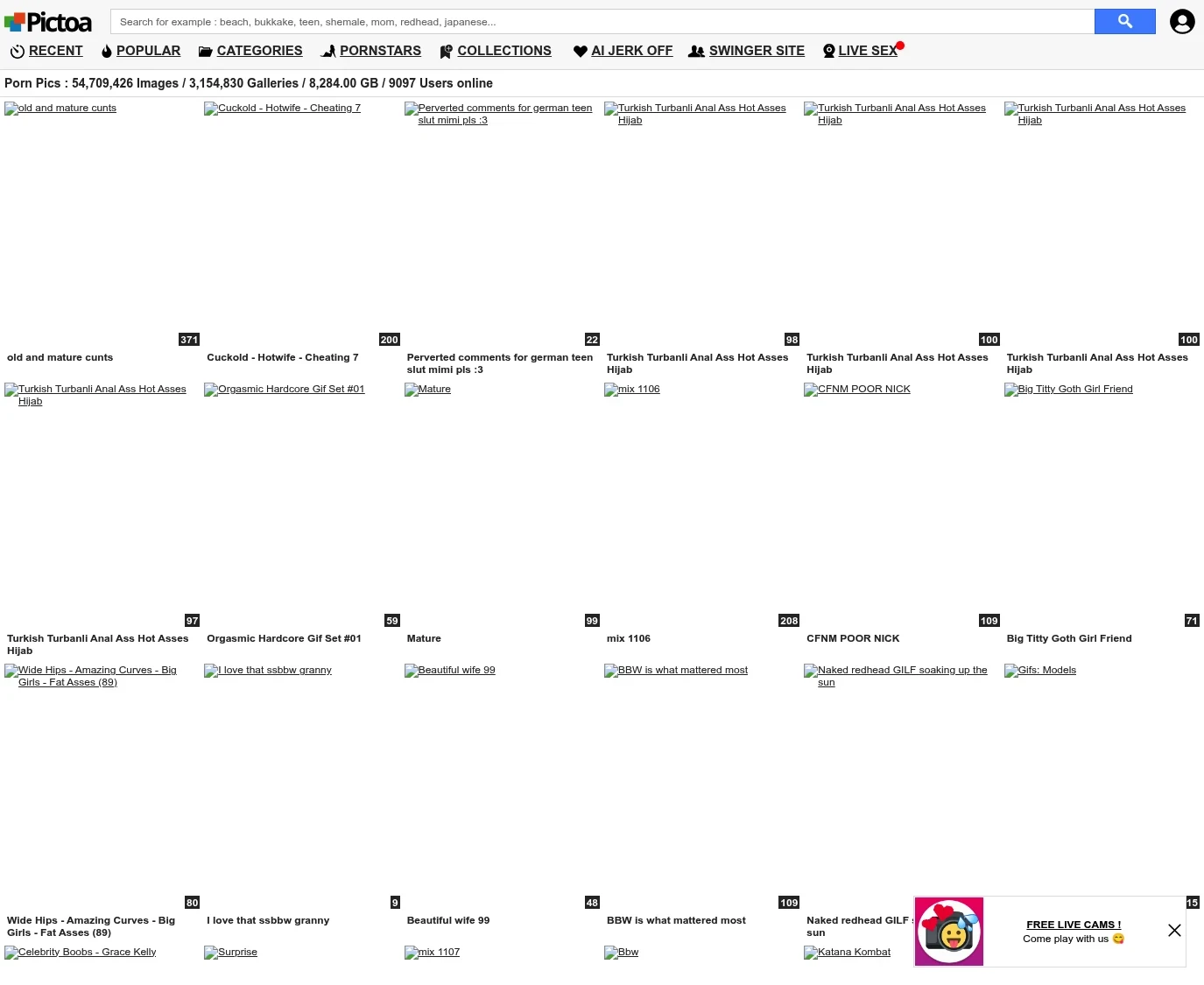 Review screenshot pictoa.com