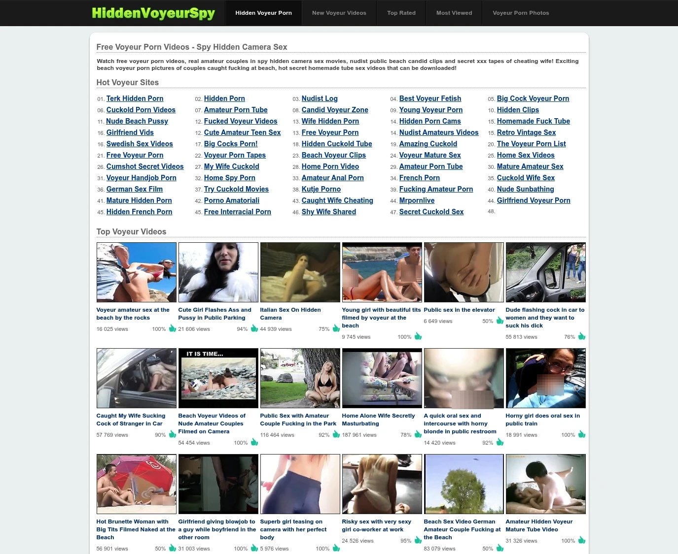 Screenshot from hiddenvoyeurspy.com for review purposes Review screenshot hiddenvoyeurspy.com