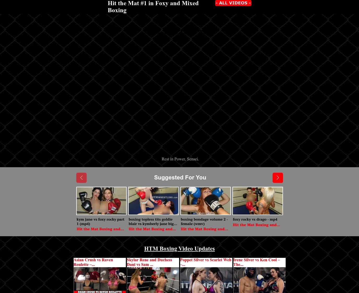 Screenshot from htmwrestling.com for review purposes Review screenshot htmwrestling.com