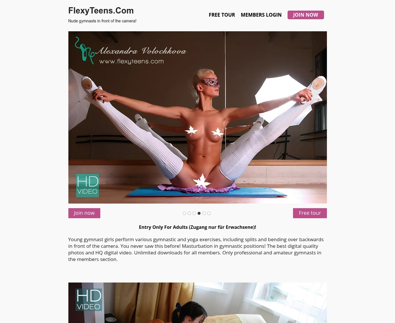 Screenshot from flexyteens.com for review purposes Review screenshot flexyteens.com