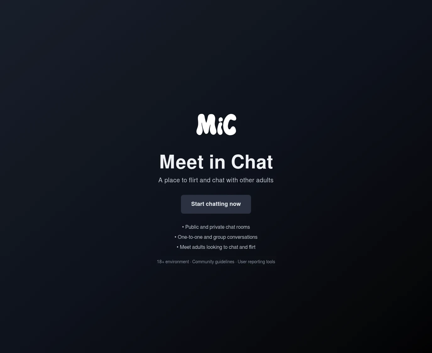 Review screenshot meetinchat.com