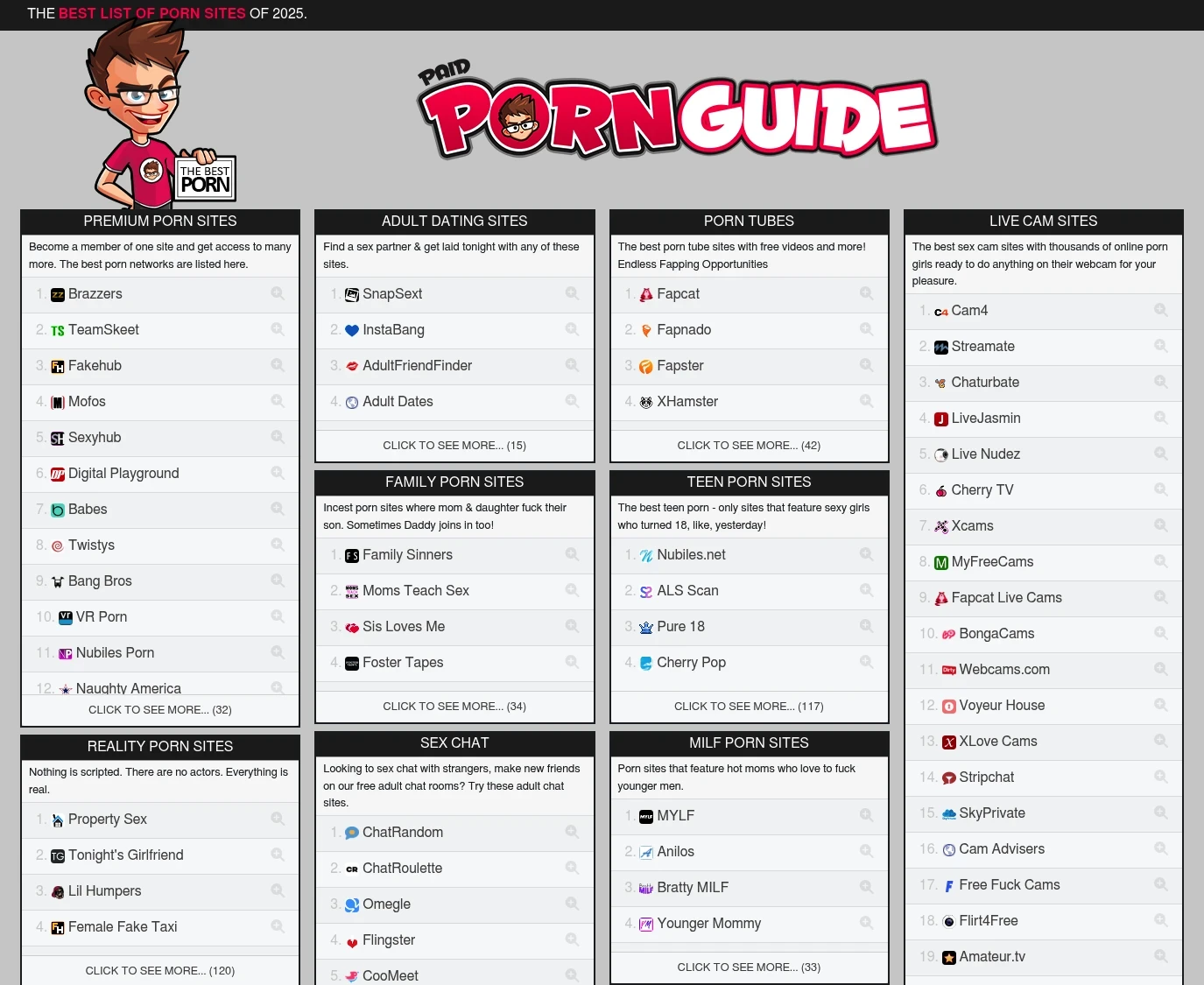 Screenshot from Paidpornguide.com for review purposes Review screenshot Paidpornguide.com