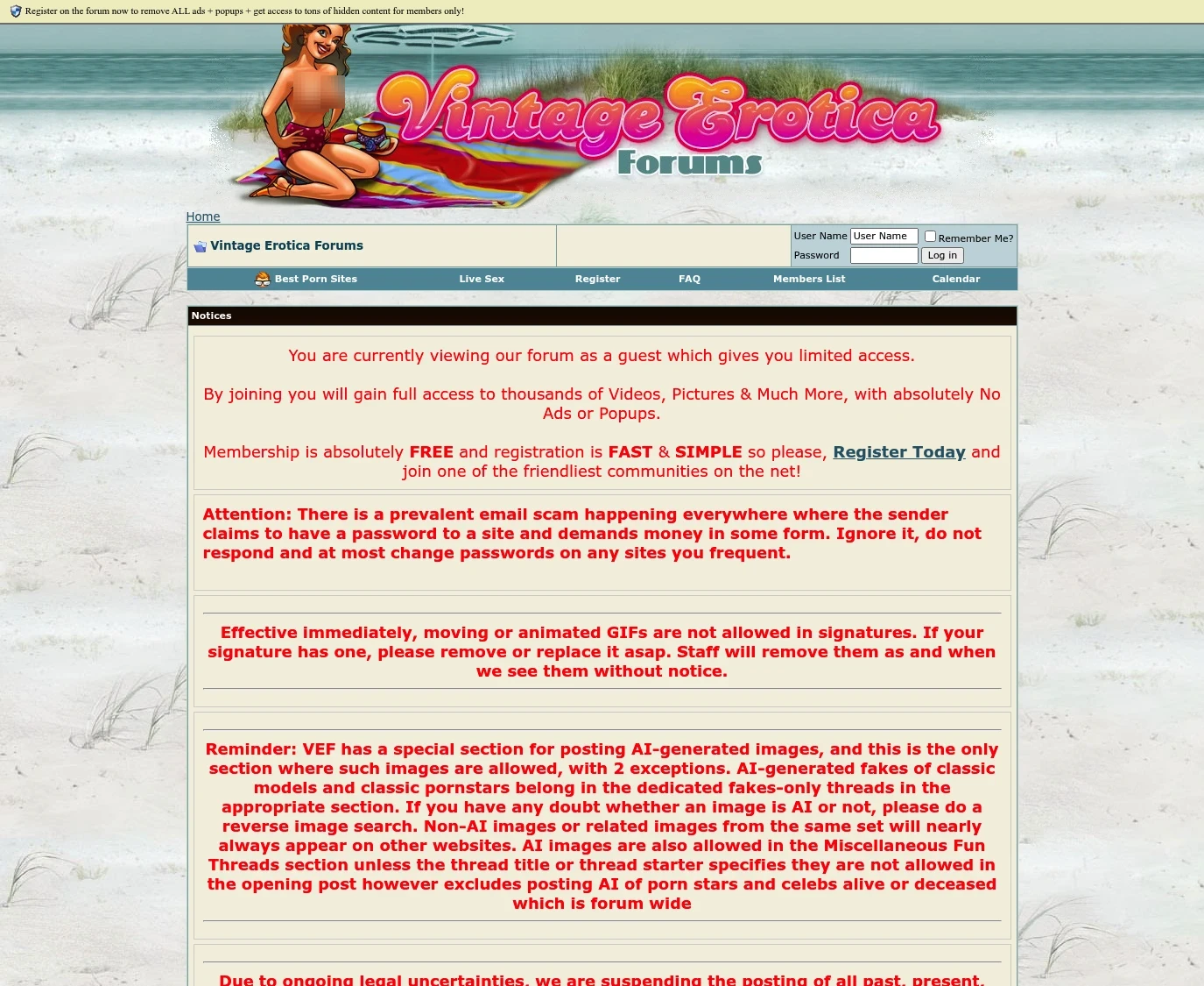Review screenshot vintage-erotica-forum.com
