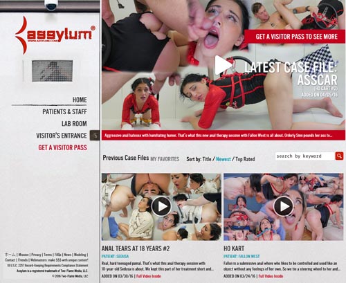 Review screenshot assylum.com
