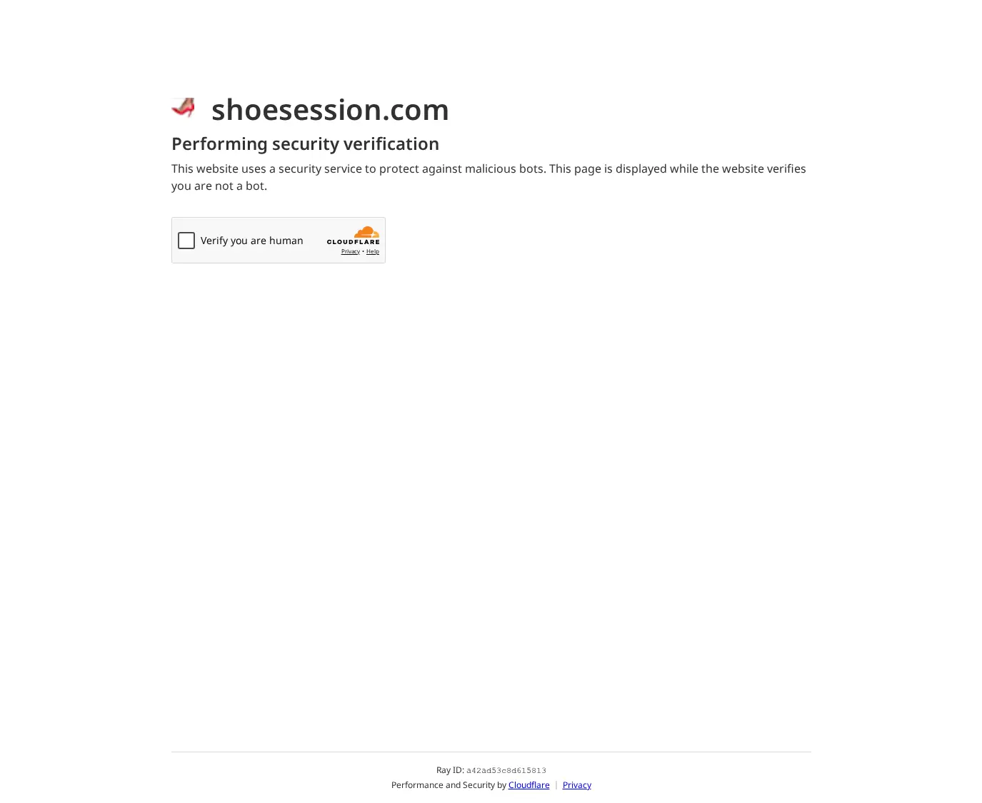 Screenshot from shoesession.com for review purposes Review screenshot shoesession.com
