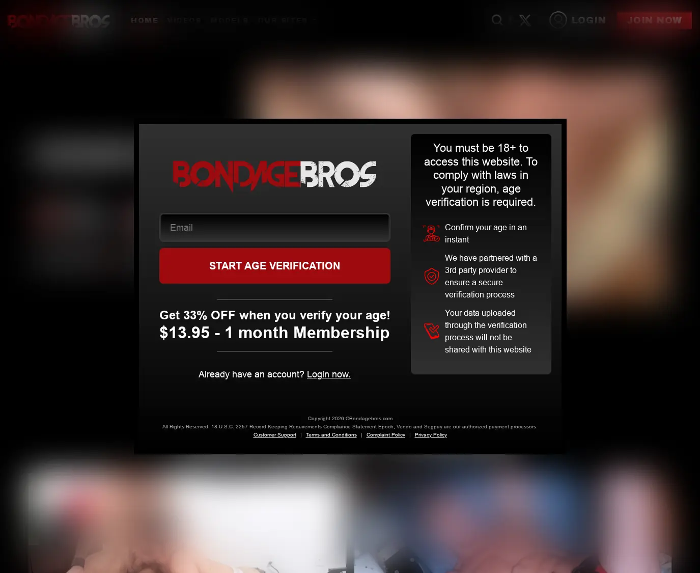 Review screenshot bondagebros.com