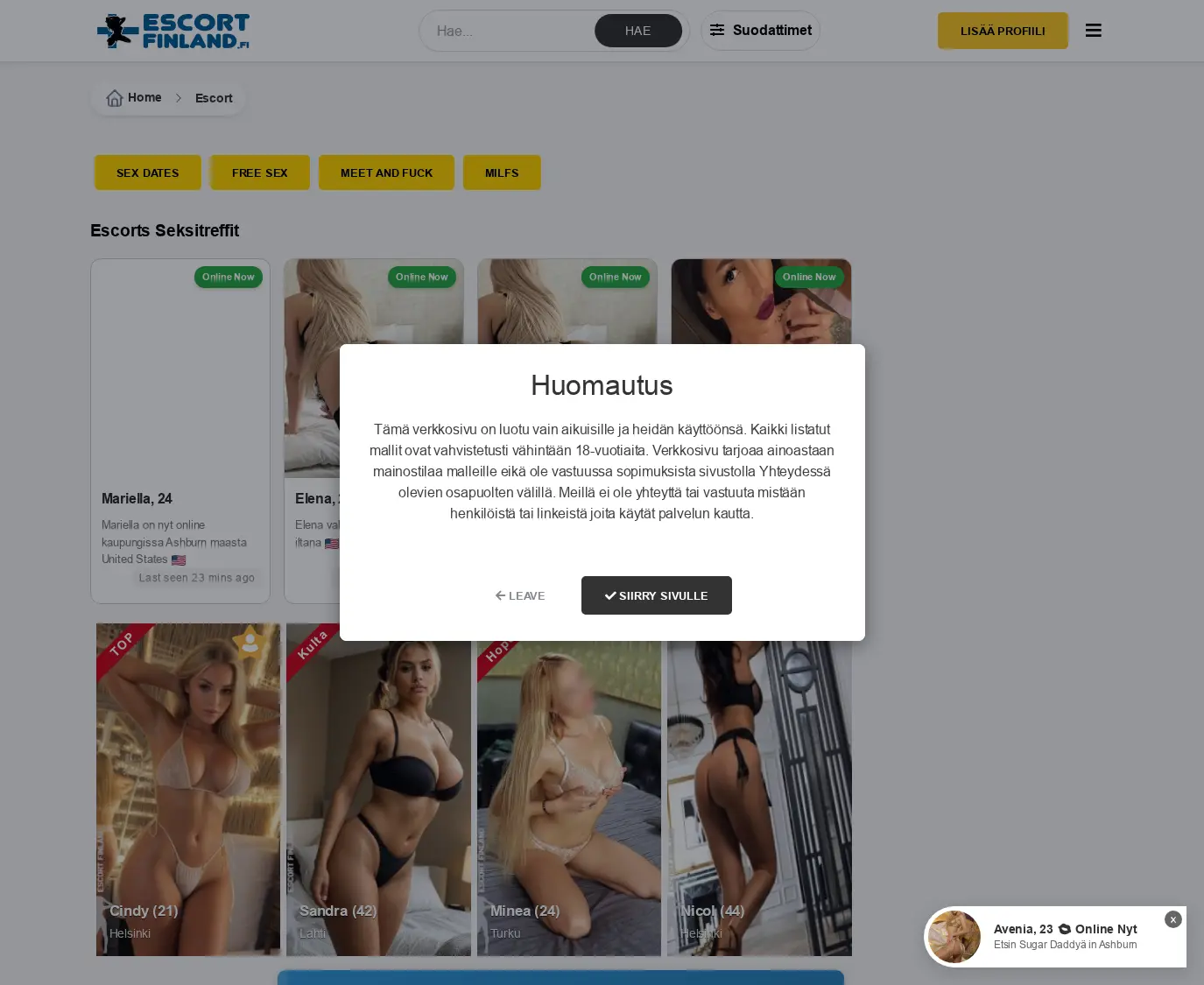 Review screenshot Escortfinland.fi